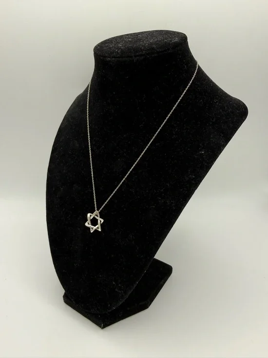 TIFFANY&Co. Tiffany Elsa Peretti Star of David Necklace/Chain Sterling Silver - Picture 5 of 10